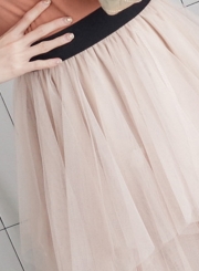 Irregular Layered Mesh Tulle  A-Line Skirt